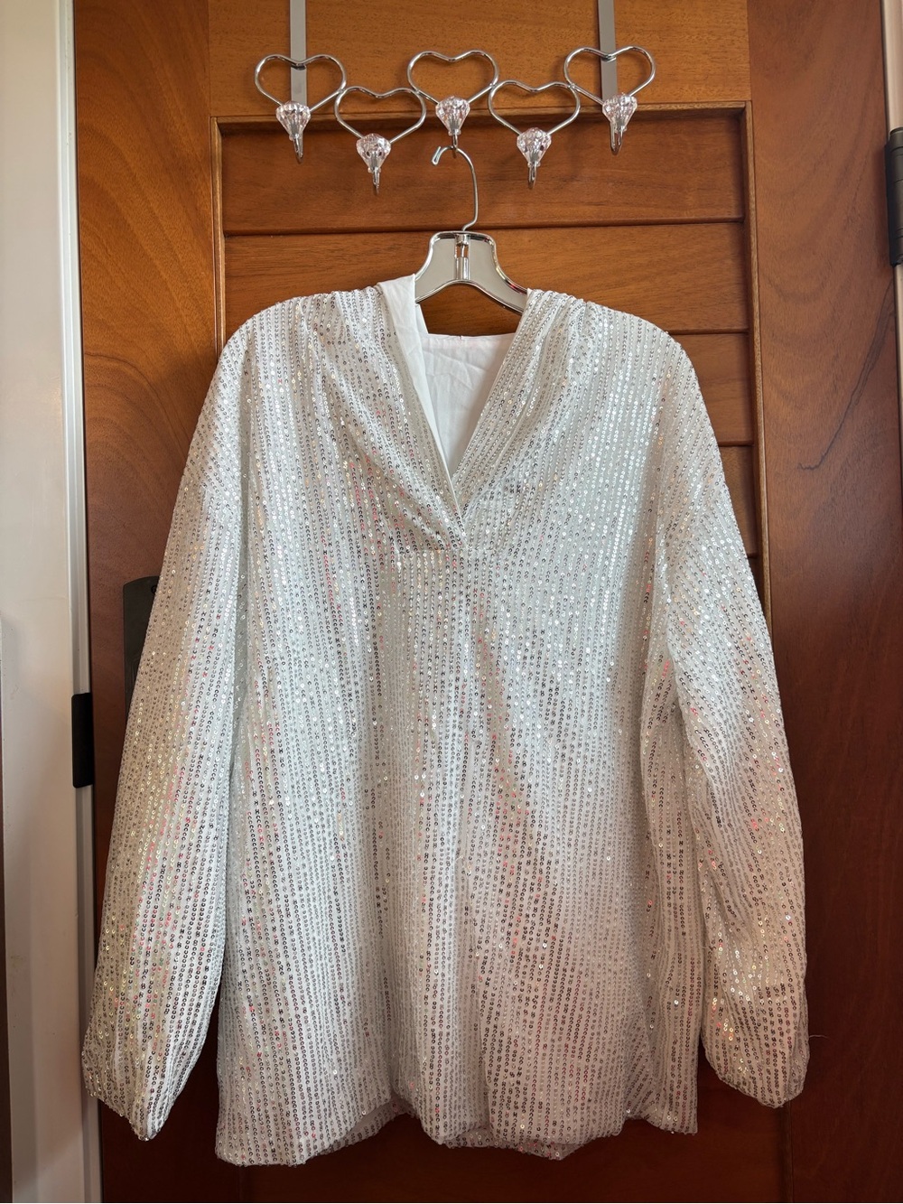 Sequin V-Neck Long Sleeve Hooded Silver Top Dress
